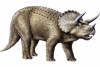 Фаллоимитатор Ceratops - 21,5 см.